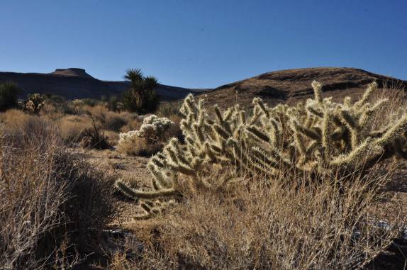 Dia ensolarado, mas com muito frio no deserto de Mojave, na Califórnia, nos Estados Unidos